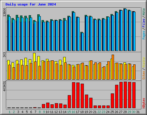 Daily usage for June 2024