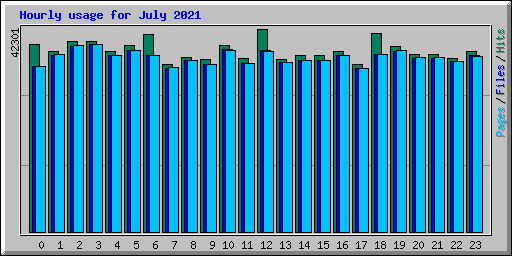 Hourly usage for July 2021