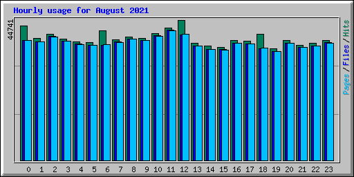 Hourly usage for August 2021