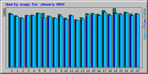 Hourly usage for January 2024
