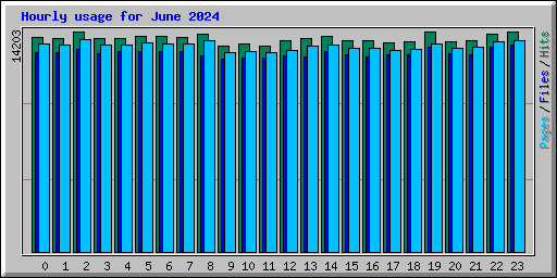 Hourly usage for June 2024